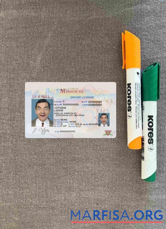 Blank USA Missouri DL photolook example